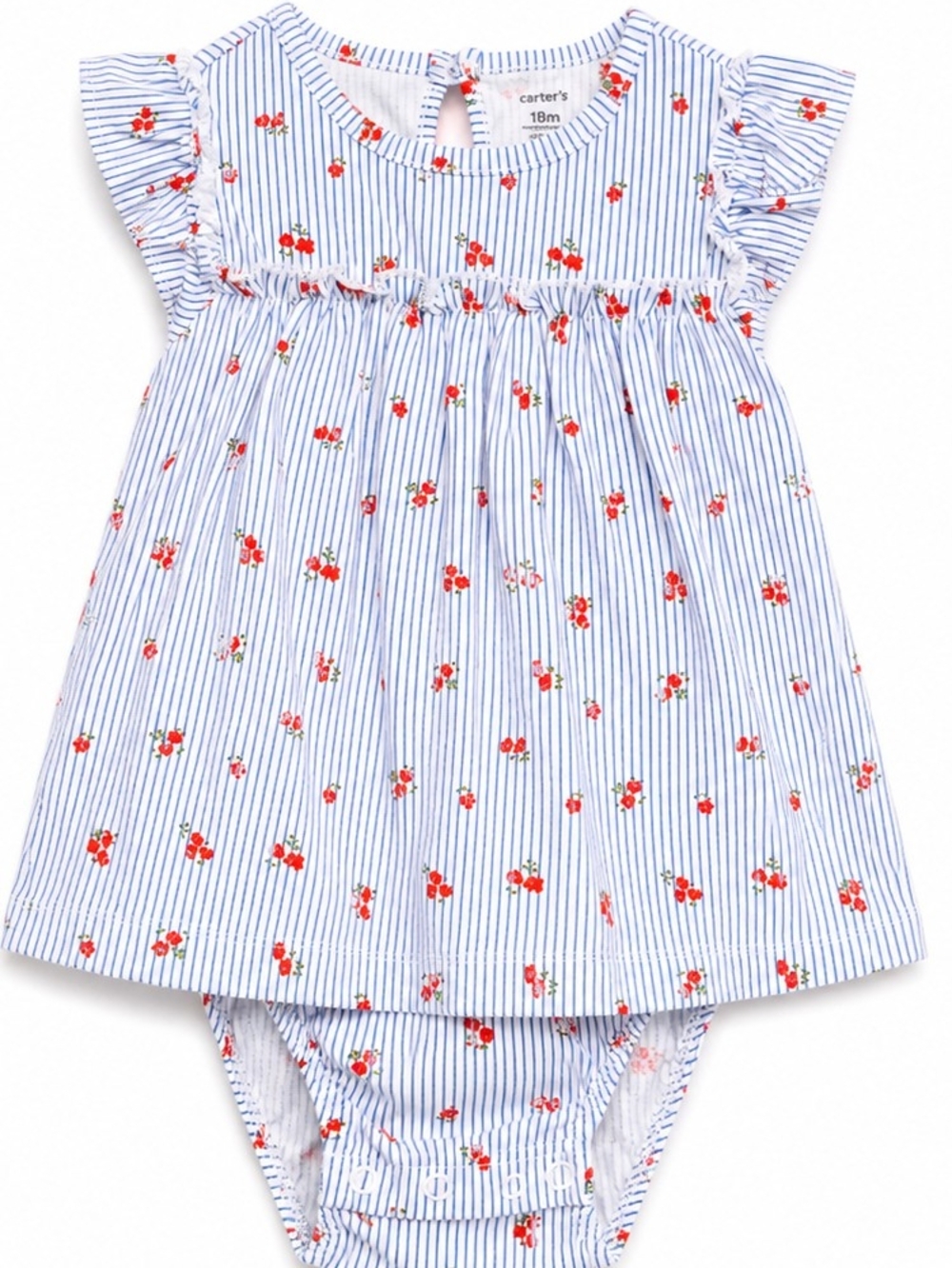 Carter's Blue & White Pinstripe Dress with Red Floral Bloomer One Piece | 18M